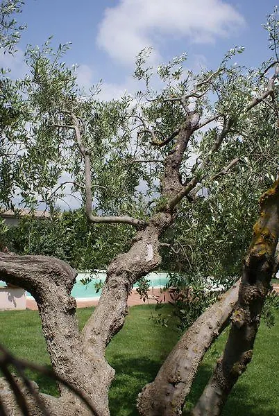 Agriturismo Le Spighe Villa San Donato San Donato (Tuscany)
